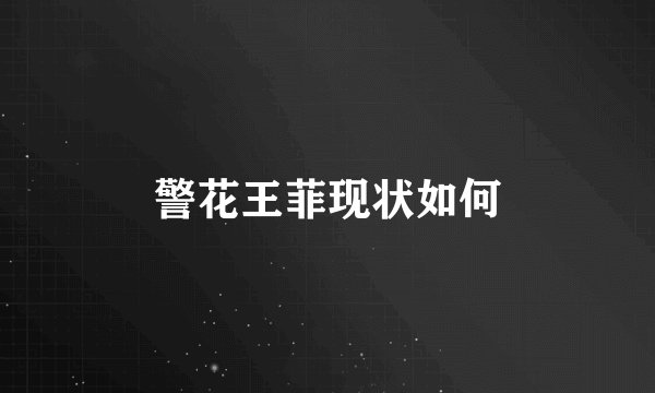 警花王菲现状如何