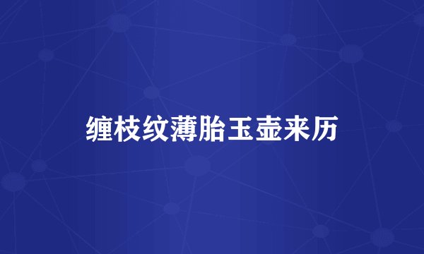 缠枝纹薄胎玉壶来历