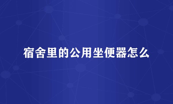 宿舍里的公用坐便器怎么