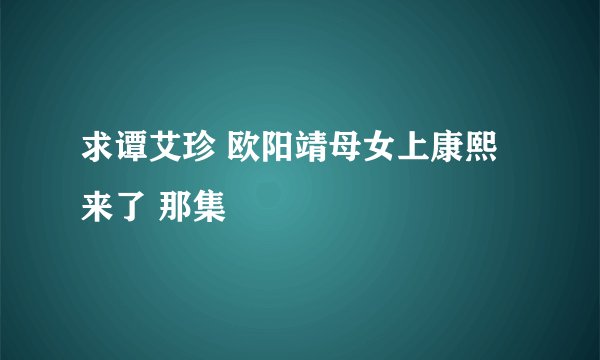 求谭艾珍 欧阳靖母女上康熙来了 那集