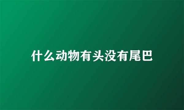什么动物有头没有尾巴