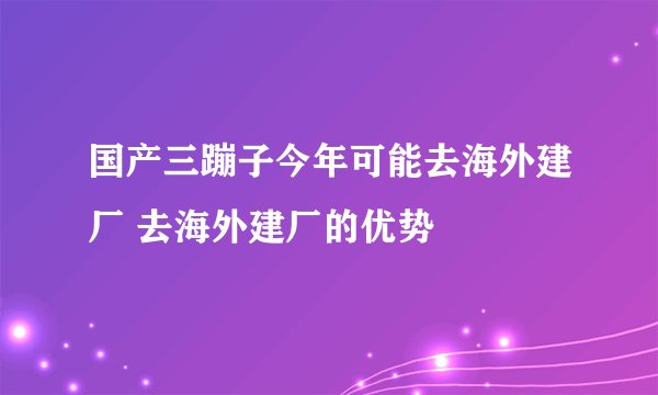 国产三蹦子今年可能去海外建厂 去海外建厂的优势