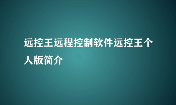 远控王远程控制软件远控王个人版简介