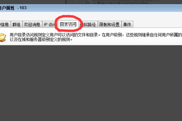 serv- u怎么设置才能打开文件