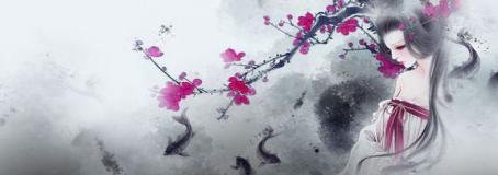 韶华倾负是什么意思