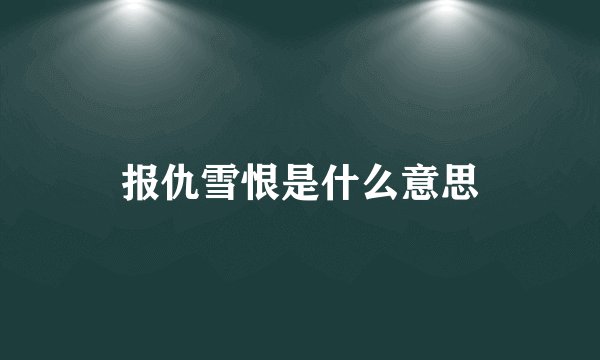 报仇雪恨是什么意思