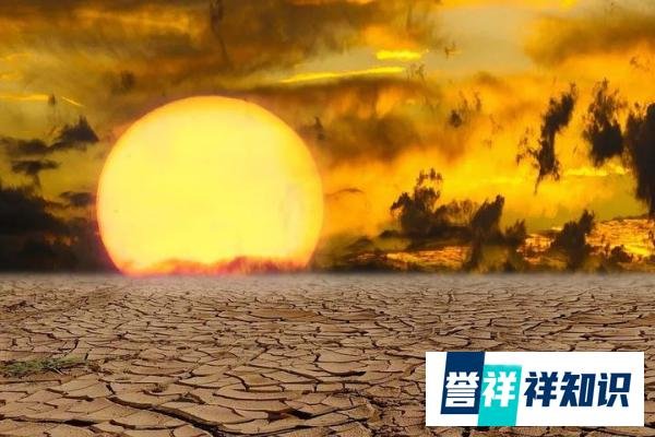 那年夏天，广州35人因它而亡，上海770人