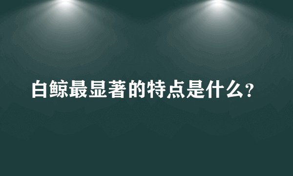 白鲸最显著的特点是什么？