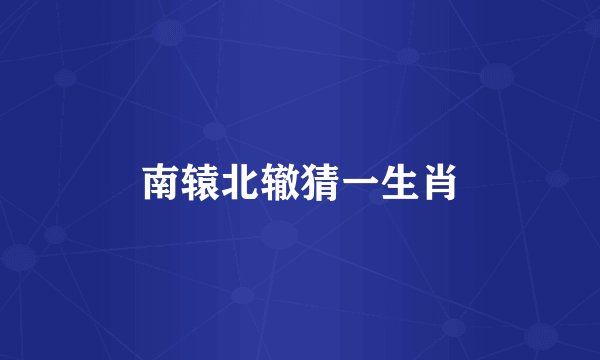 南辕北辙猜一生肖