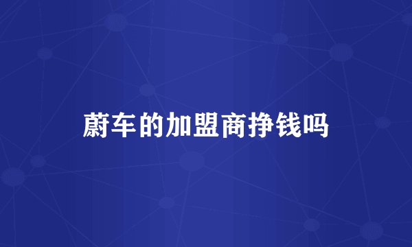 蔚车的加盟商挣钱吗