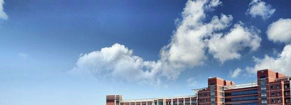 【校园指南】山东科技大学查成绩篇