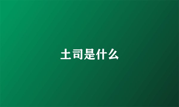 土司是什么