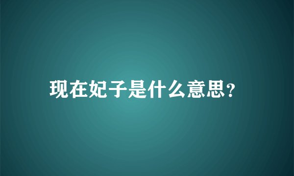 现在妃子是什么意思？