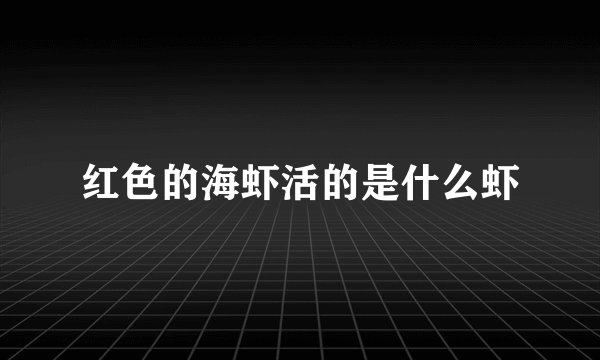 红色的海虾活的是什么虾