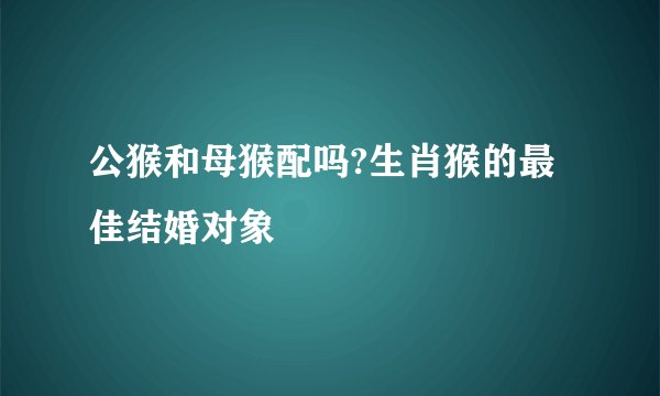 公猴和母猴配吗?生肖猴的最佳结婚对象
