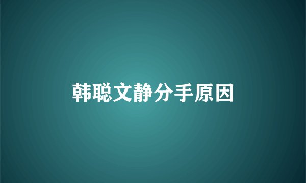 韩聪文静分手原因