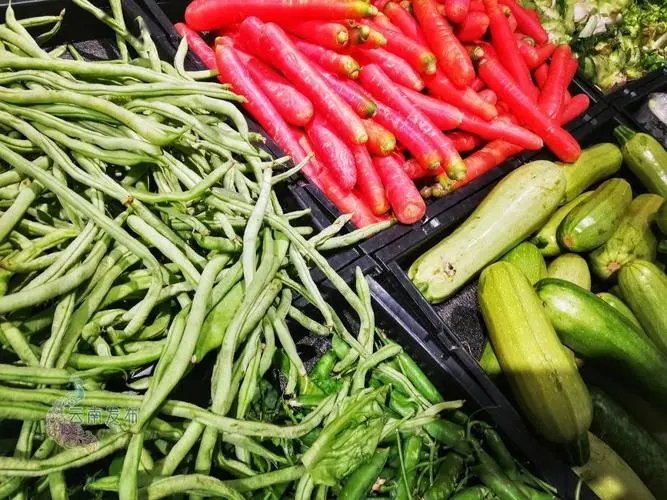 网友称援沪蔬菜被丢进垃圾桶、铲入垃圾车，当地有关部门对此作何回应？