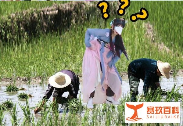 林嘉慧靠“铁刘海”火了 实锤认证创3综艺担当