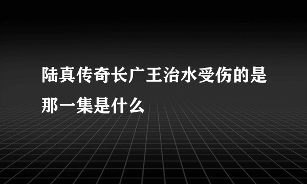 陆真传奇长广王治水受伤的是那一集是什么