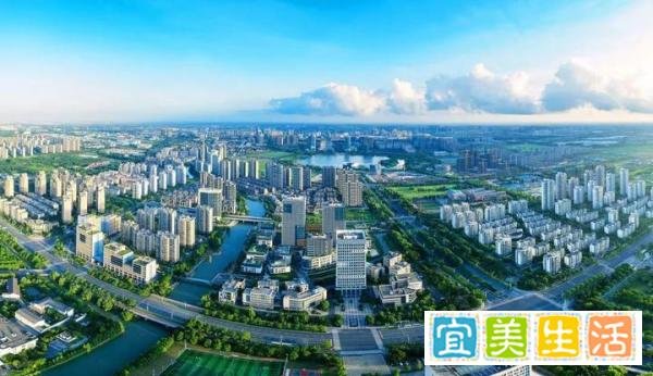 上海民营经济怎样才能从“草根”变为“树根”？