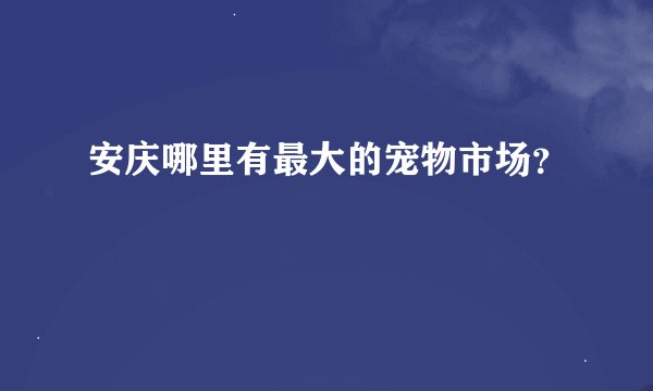 安庆哪里有最大的宠物市场？