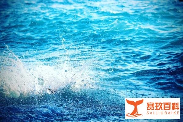 核污水排海最严重影响是致畸，海鲜是不是不能吃了？