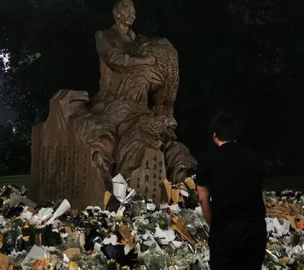 袁隆平雕像前布满花海 这是咋情况？
