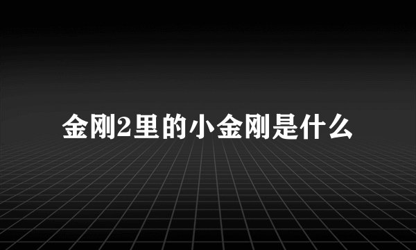 金刚2里的小金刚是什么