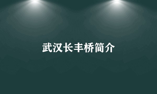 武汉长丰桥简介
