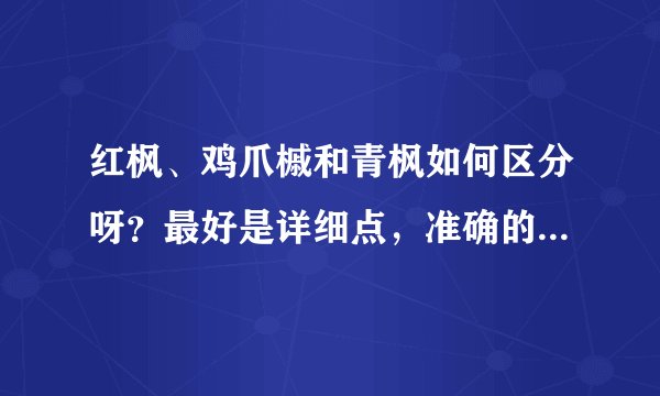 红枫、鸡爪槭和青枫如何区分呀?最好是详细点,准确的,谢谢了
