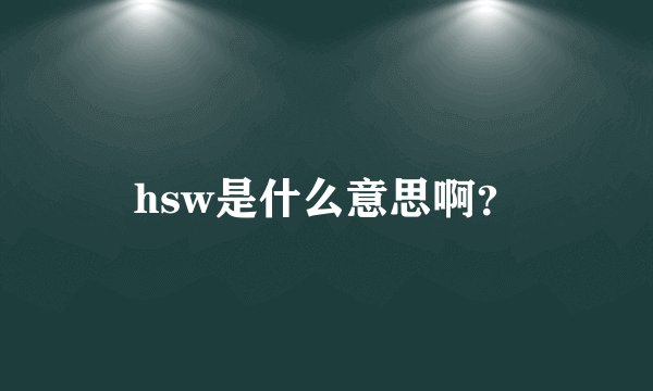 hsw是什么意思啊？