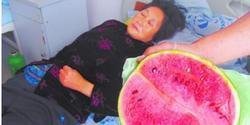 青岛12人吃西瓜中毒 农药超标致死亡
