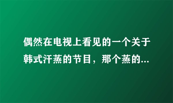 偶然在电视上看见的一个关于韩式汗蒸的节目，那个蒸的馆各式各样！谁知道是个什么节目吗？