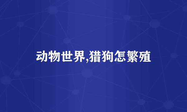 动物世界,猎狗怎繁殖