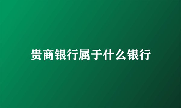 贵商银行属于什么银行