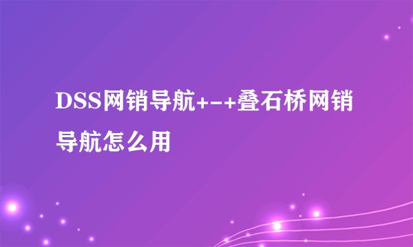 DSS网销导航+-+叠石桥网销导航怎么用