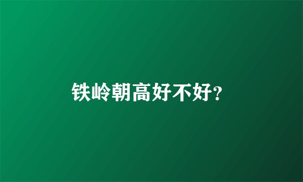 铁岭朝高好不好?