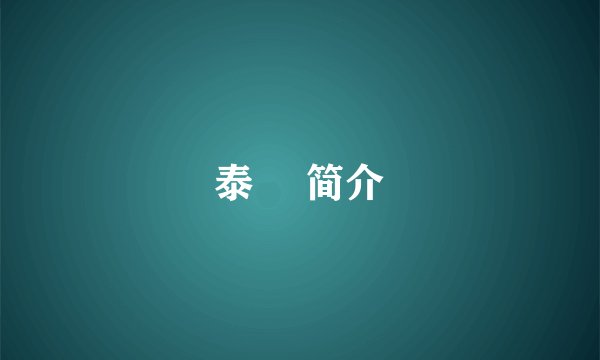 泰囧 简介