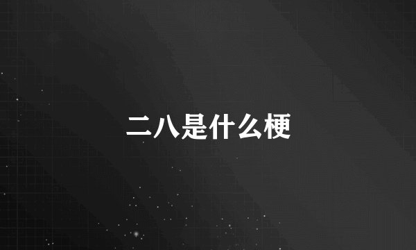 二八是什么梗