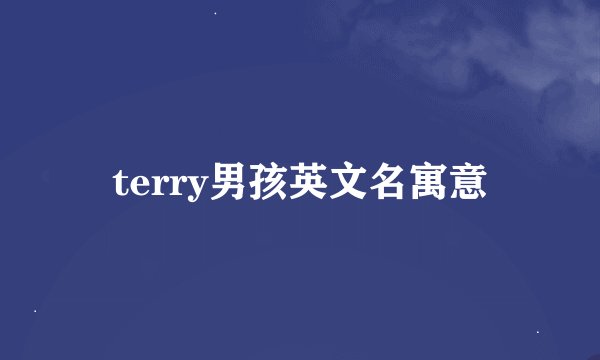 terry男孩英文名寓意