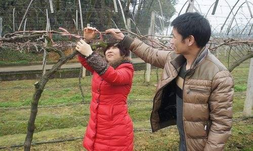 大部分夫妻都是不同的工作单位，夫妻间工资条算不算隐私？
