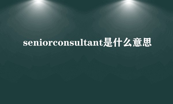 seniorconsultant是什么意思