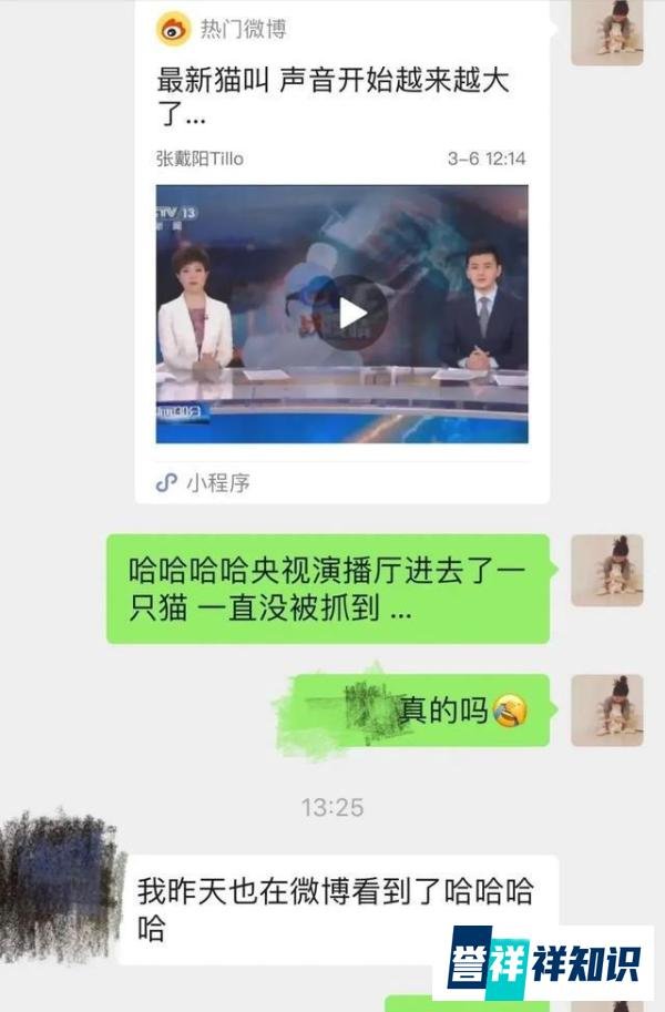 央视猫叫上热搜!多档新闻直播出现喵喵声...网友乐了!
