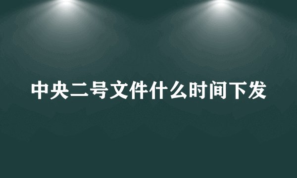 中央二号文件什么时间下发
