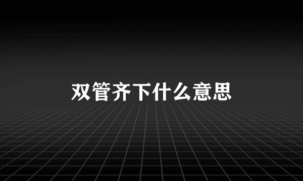 双管齐下什么意思