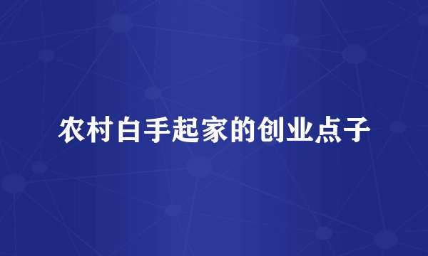 农村白手起家的创业点子