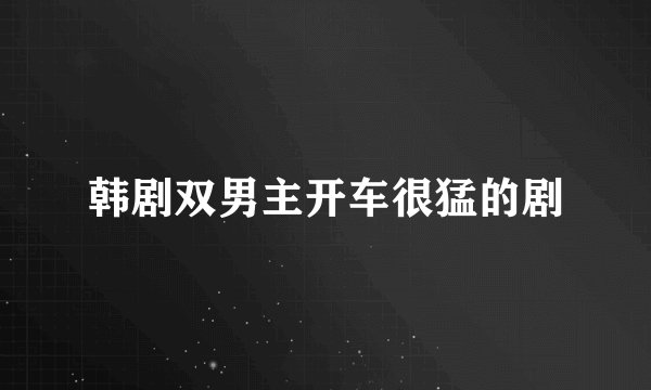 韩剧双男主开车很猛的剧