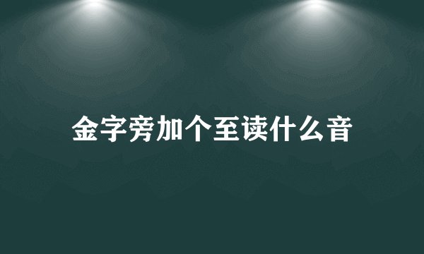 金字旁加个至读什么音