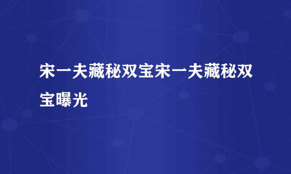 宋一夫藏秘双宝宋一夫藏秘双宝曝光