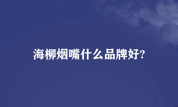 海柳烟嘴什么品牌好?
